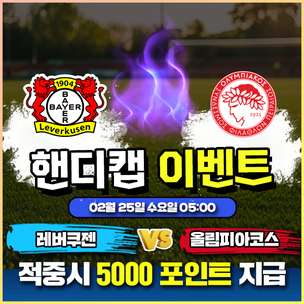 보증업체 댓글후기 이벤트