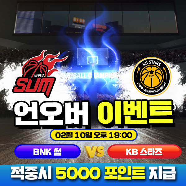보증업체 댓글후기 이벤트