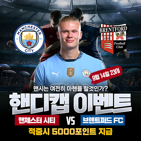 보증업체 댓글후기 이벤트